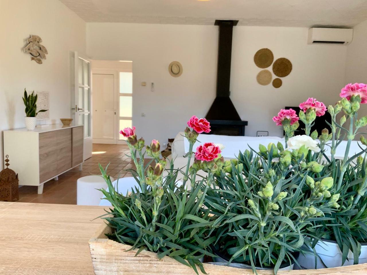 Villa Casa del Hort Sant Martí d'Empúries Esterno foto
